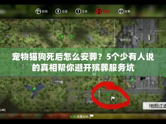 宠物猫狗死后怎么安葬？5个少有人说的真相帮你避开殡葬服务坑