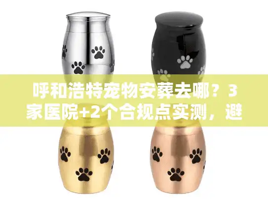 呼和浩特宠物安葬去哪？3家医院+2个合规点实测，避坑这5个雷