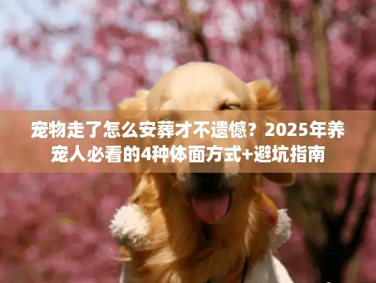 宠物走了怎么安葬才不遗憾？2025年养宠人必看的4种体面方式+避坑指南