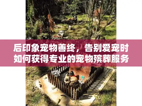 后印象宠物善终，告别爱宠时如何获得专业的宠物殡葬服务？