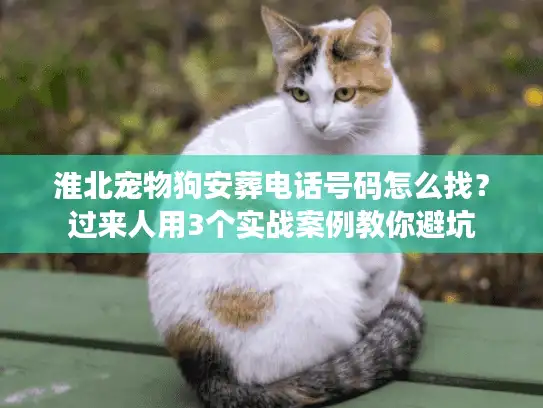 淮北宠物狗安葬电话号码怎么找？过来人用3个实战案例教你避坑