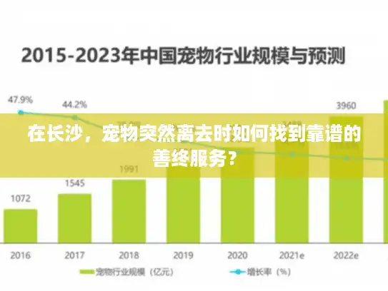 在长沙，宠物突然离去时如何找到靠谱的善终服务？