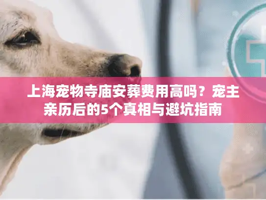 上海宠物寺庙安葬费用高吗？宠主亲历后的5个真相与避坑指南