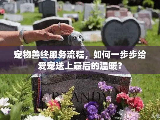 宠物善终服务流程，如何一步步给爱宠送上最后的温暖？
