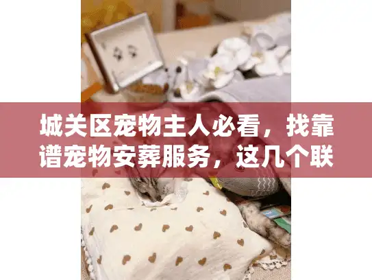 城关区宠物主人必看，找靠谱宠物安葬服务，这几个联系电话和门道你得先搞清楚！