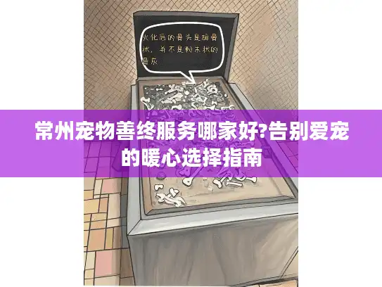常州宠物善终服务哪家好?告别爱宠的暖心选择指南