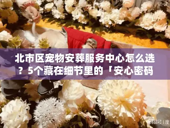 北市区宠物安葬服务中心怎么选？5个藏在细节里的「安心密码」很多人没注意