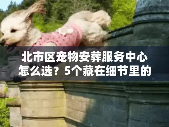 北市区宠物安葬服务中心怎么选？5个藏在细节里的「安心密码」很多人没注意