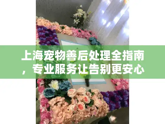 上海宠物善后处理全指南，专业服务让告别更安心