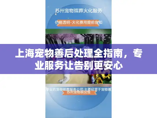 上海宠物善后处理全指南，专业服务让告别更安心