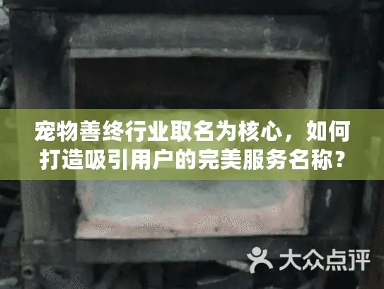 宠物善终行业取名为核心，如何打造吸引用户的完美服务名称？