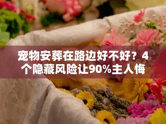 宠物安葬在路边好不好？4个隐藏风险让90%主人悔不当初