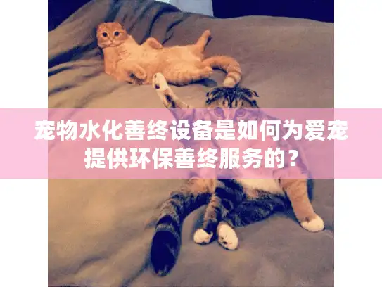 宠物水化善终设备是如何为爱宠提供环保善终服务的？