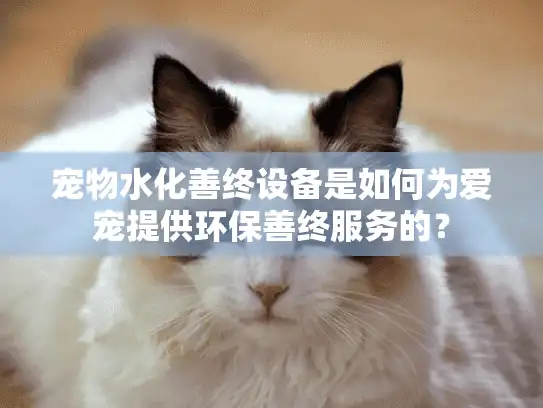 宠物水化善终设备是如何为爱宠提供环保善终服务的？