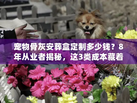 宠物骨灰安葬盒定制多少钱？8年从业者揭秘，这3类成本藏着你不知道的价格真相