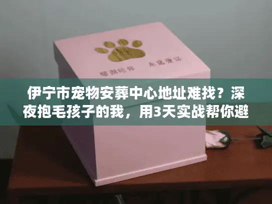 伊宁市宠物安葬中心地址难找？深夜抱毛孩子的我，用3天实战帮你避开90%的坑
