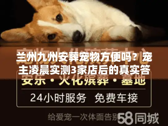 兰州九州安葬宠物方便吗？宠主凌晨实测3家店后的真实答案+避坑清单