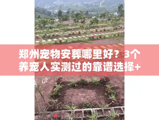 郑州宠物安葬哪里好？3个养宠人实测过的靠谱选择+避坑指南