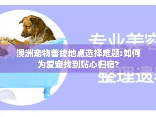 澳洲宠物善终地点选择难题:如何为爱宠找到贴心归宿?