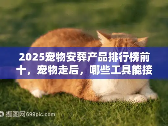 2025宠物安葬产品排行榜前十，宠物走后，哪些工具能接住你没说出口的舍不得？