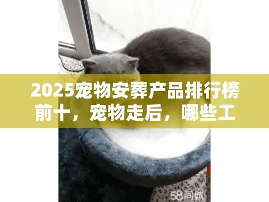 2025宠物安葬产品排行榜前十，宠物走后，哪些工具能接住你没说出口的舍不得？