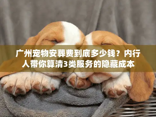广州宠物安葬费到底多少钱？内行人带你算清3类服务的隐藏成本