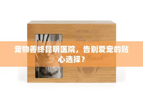宠物善终昆明医院，告别爱宠的贴心选择？