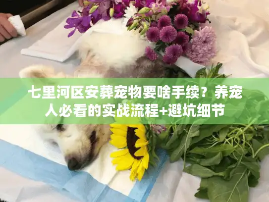 七里河区安葬宠物要啥手续？养宠人必看的实战流程+避坑细节