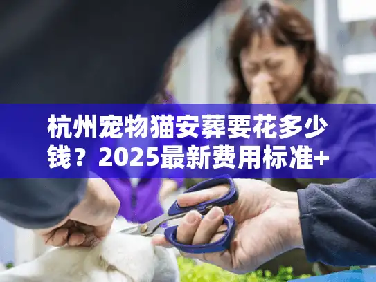 杭州宠物猫安葬要花多少钱？2025最新费用标准+隐藏收费全解析