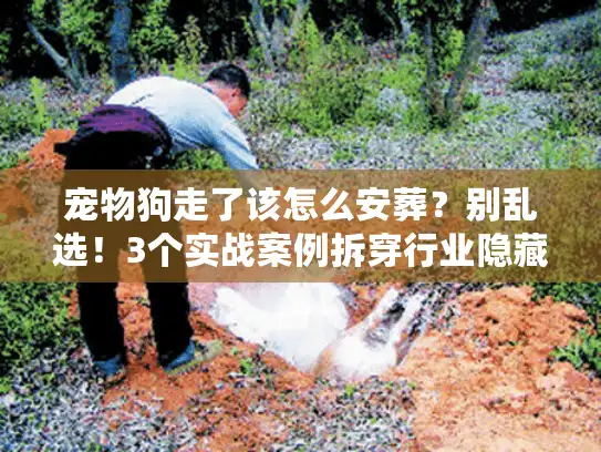 宠物狗走了该怎么安葬？别乱选！3个实战案例拆穿行业隐藏的3个坑