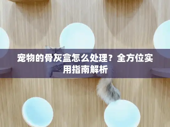 宠物的骨灰盒怎么处理？全方位实用指南解析