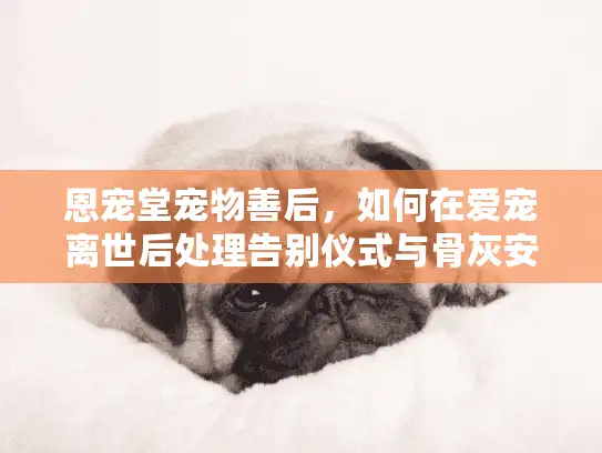 恩宠堂宠物善后，如何在爱宠离世后处理告别仪式与骨灰安置？