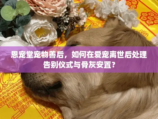 恩宠堂宠物善后，如何在爱宠离世后处理告别仪式与骨灰安置？