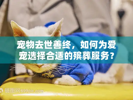 宠物去世善终，如何为爱宠选择合适的殡葬服务？