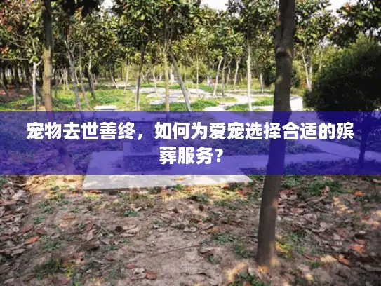 宠物去世善终，如何为爱宠选择合适的殡葬服务？