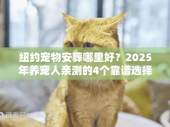纽约宠物安葬哪里好？2025年养宠人亲测的4个靠谱选择+避坑指南