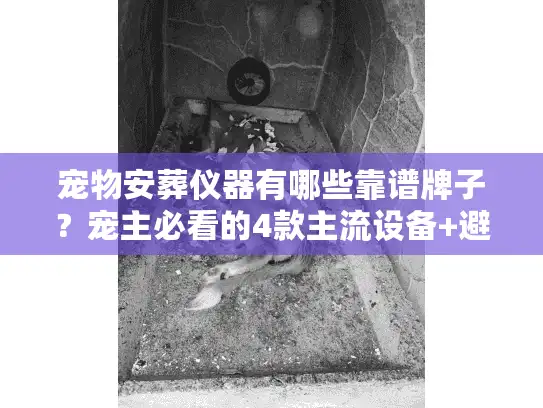 宠物安葬仪器有哪些靠谱牌子？宠主必看的4款主流设备+避坑指南