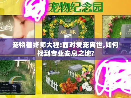 宠物善终师大程:面对爱宠离世,如何找到专业安息之地?
