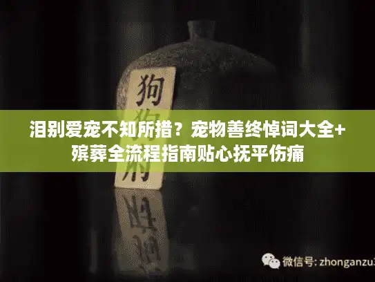 泪别爱宠不知所措？宠物善终悼词大全+殡葬全流程指南贴心抚平伤痛