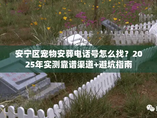 安宁区宠物安葬电话号怎么找？2025年实测靠谱渠道+避坑指南