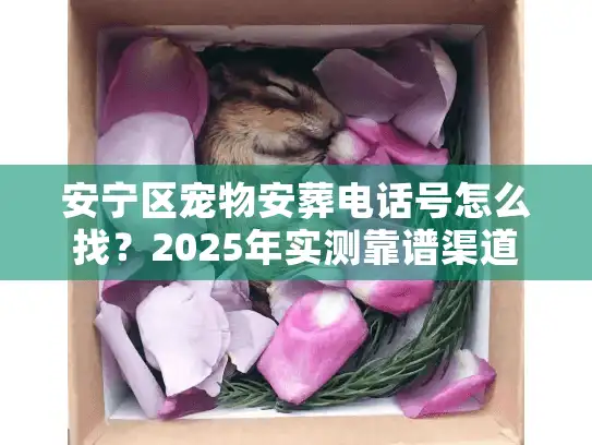 安宁区宠物安葬电话号怎么找？2025年实测靠谱渠道+避坑指南