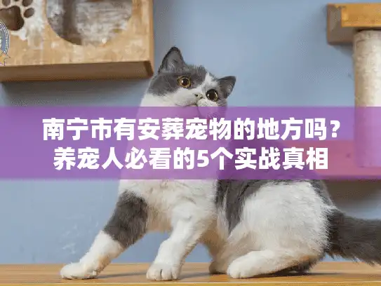 南宁市有安葬宠物的地方吗？养宠人必看的5个实战真相