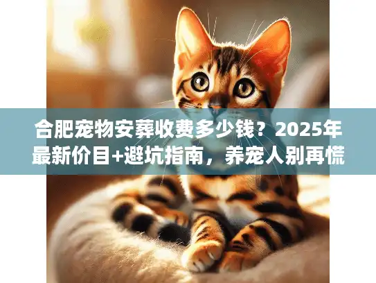 合肥宠物安葬收费多少钱？2025年最新价目+避坑指南，养宠人别再慌