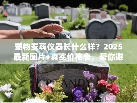 宠物安葬仪器长什么样？2025最新图片+真实价格表，帮你避开殡葬服务3大陷阱