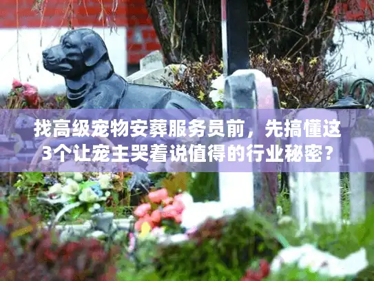 找高级宠物安葬服务员前，先搞懂这3个让宠主哭着说值得的行业秘密？