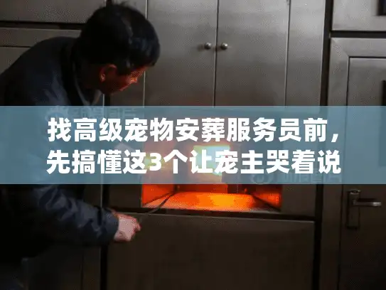 找高级宠物安葬服务员前，先搞懂这3个让宠主哭着说值得的行业秘密？