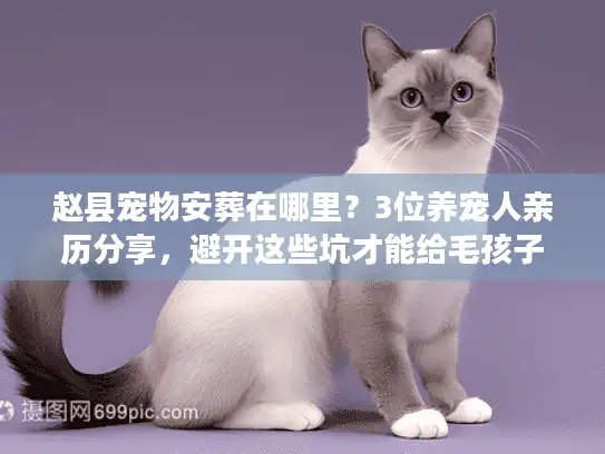 赵县宠物安葬在哪里？3位养宠人亲历分享，避开这些坑才能给毛孩子最后体面