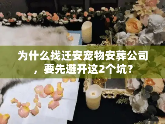 为什么找迁安宠物安葬公司，要先避开这2个坑？