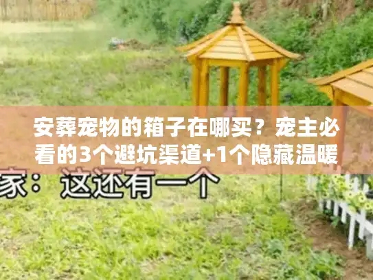 安葬宠物的箱子在哪买？宠主必看的3个避坑渠道+1个隐藏温暖选项