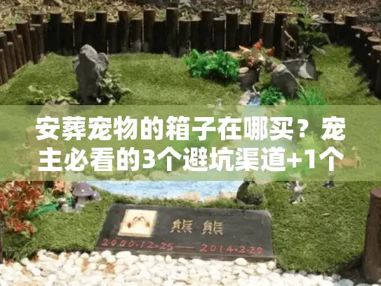 安葬宠物的箱子在哪买？宠主必看的3个避坑渠道+1个隐藏温暖选项